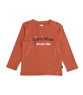 t-shirt bambino cotone 6/36 mesi